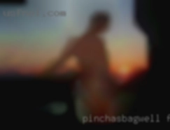 pinchasBagwell Forney Texas