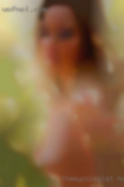 TheMycologist Holden MA