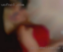 Willemeliaalcera Port Richey FL